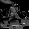 GutterPunk - Professional Concert Photography